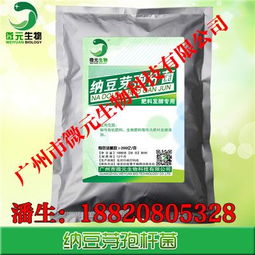 納豆芽孢桿菌在微生物飼料與肥料添加劑中的研發(fā)與應(yīng)用