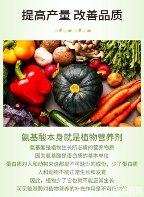 微生物有機(jī)肥與氨基酸肥料的協(xié)同創(chuàng)新 復(fù)合氨基酸原粉、水溶肥及葉面肥的生物有機(jī)肥料研發(fā)