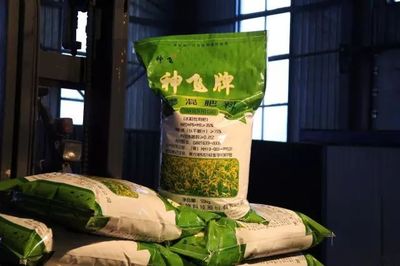 我縣神飛生物科技股份簽訂超千萬(wàn)元大單，引領(lǐng)復(fù)合微生物肥料研發(fā)新篇章