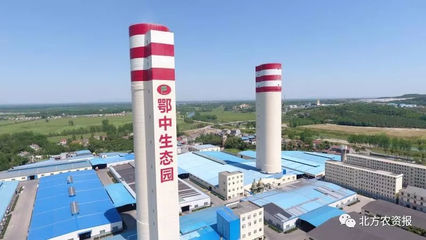 以品牌引領(lǐng)綠色農(nóng)業(yè) 復合微生物肥料研發(fā)的新時代